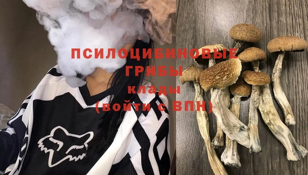 Альфа ПВП Вязники